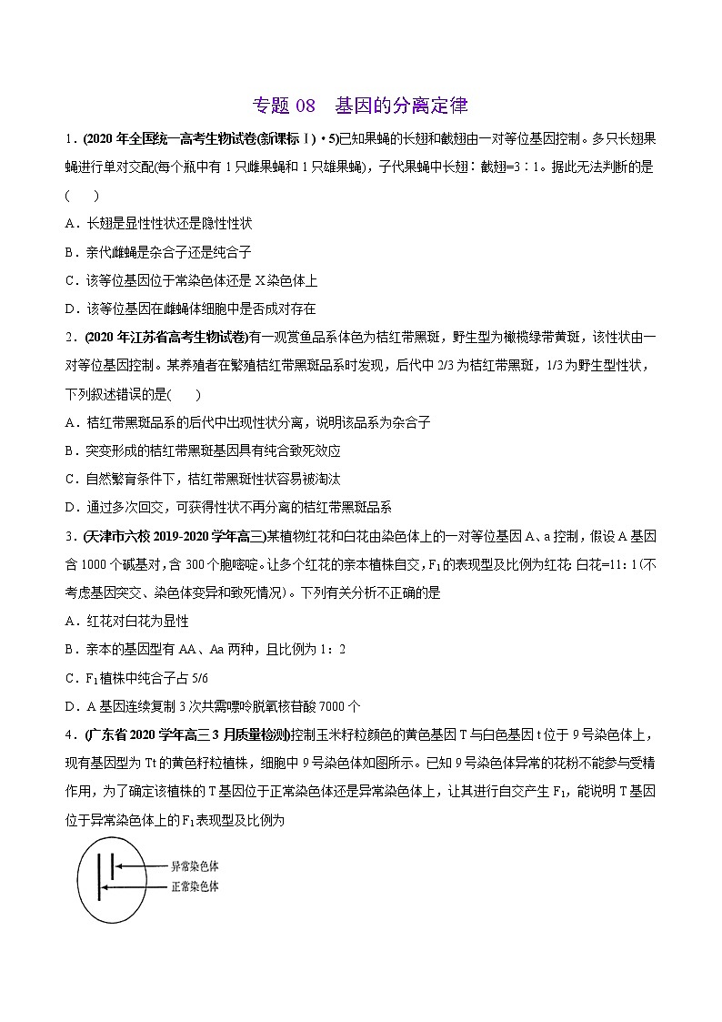 高中生物高考专题08 基因的分离定律-2020年高考真题和模拟题生物分项汇编（学生版）第1页
