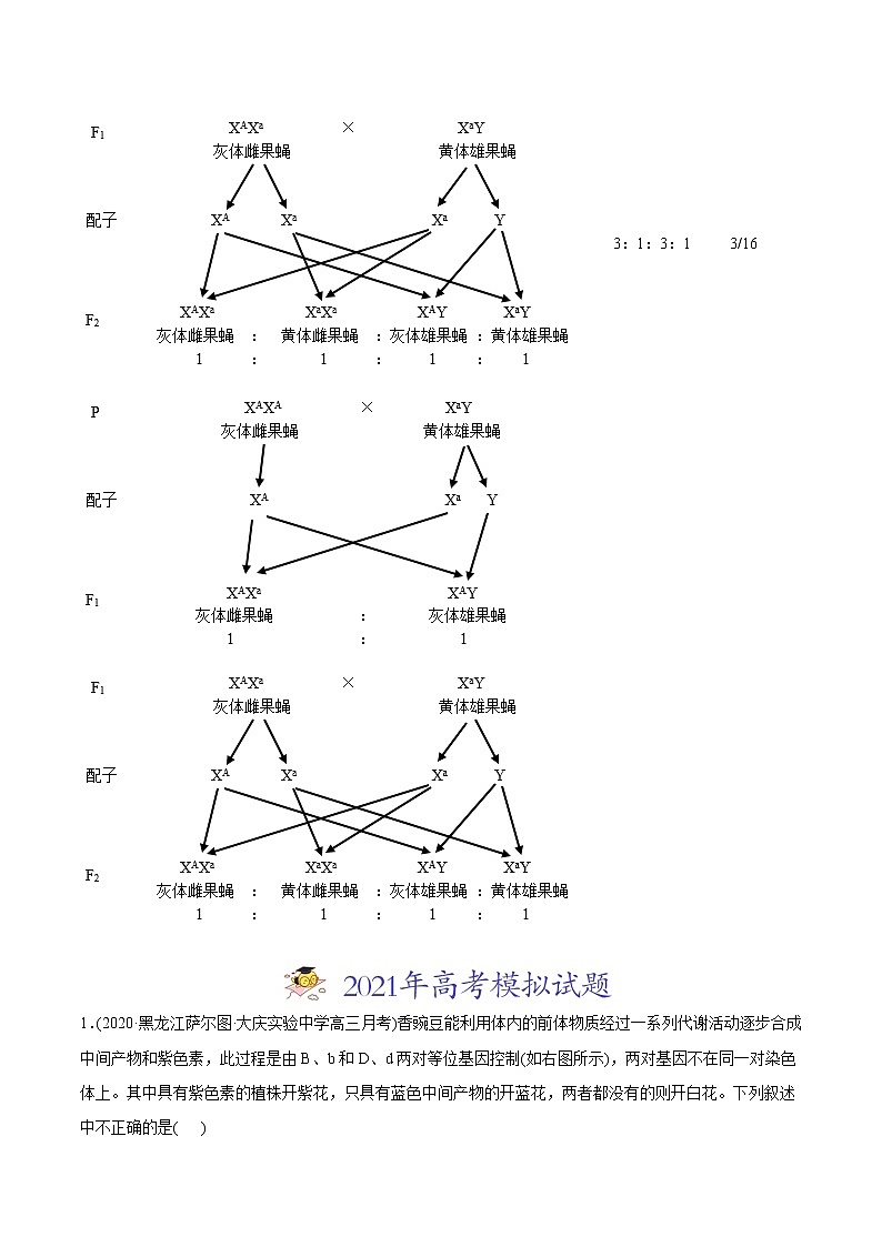 高中生物高考专题08 基因的自由组合定律-2021年高考生物真题与模拟题分类训练（学生版）第3页