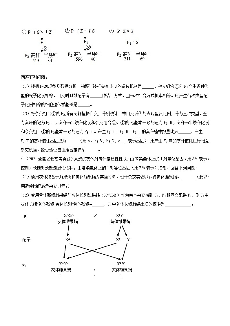 高中生物高考专题08 基因的自由组合定律-2021年高考真题和模拟题生物分项汇编（原卷版）第2页