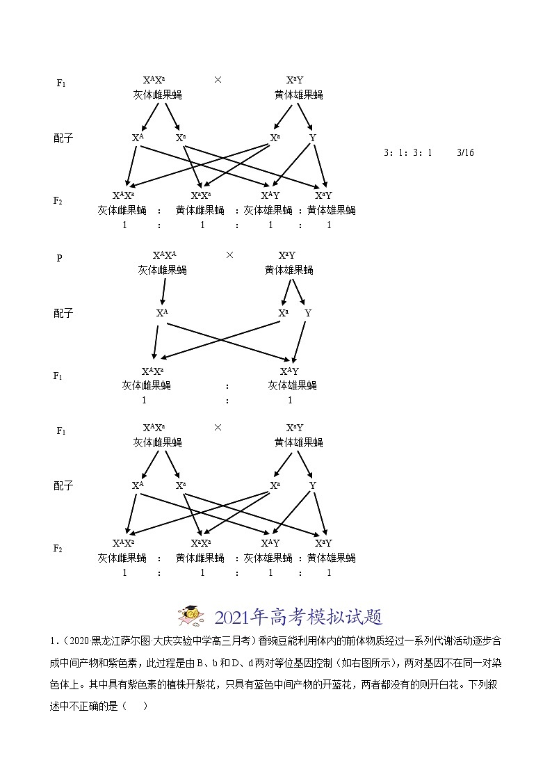 高中生物高考专题08 基因的自由组合定律-2021年高考真题和模拟题生物分项汇编（原卷版）第3页