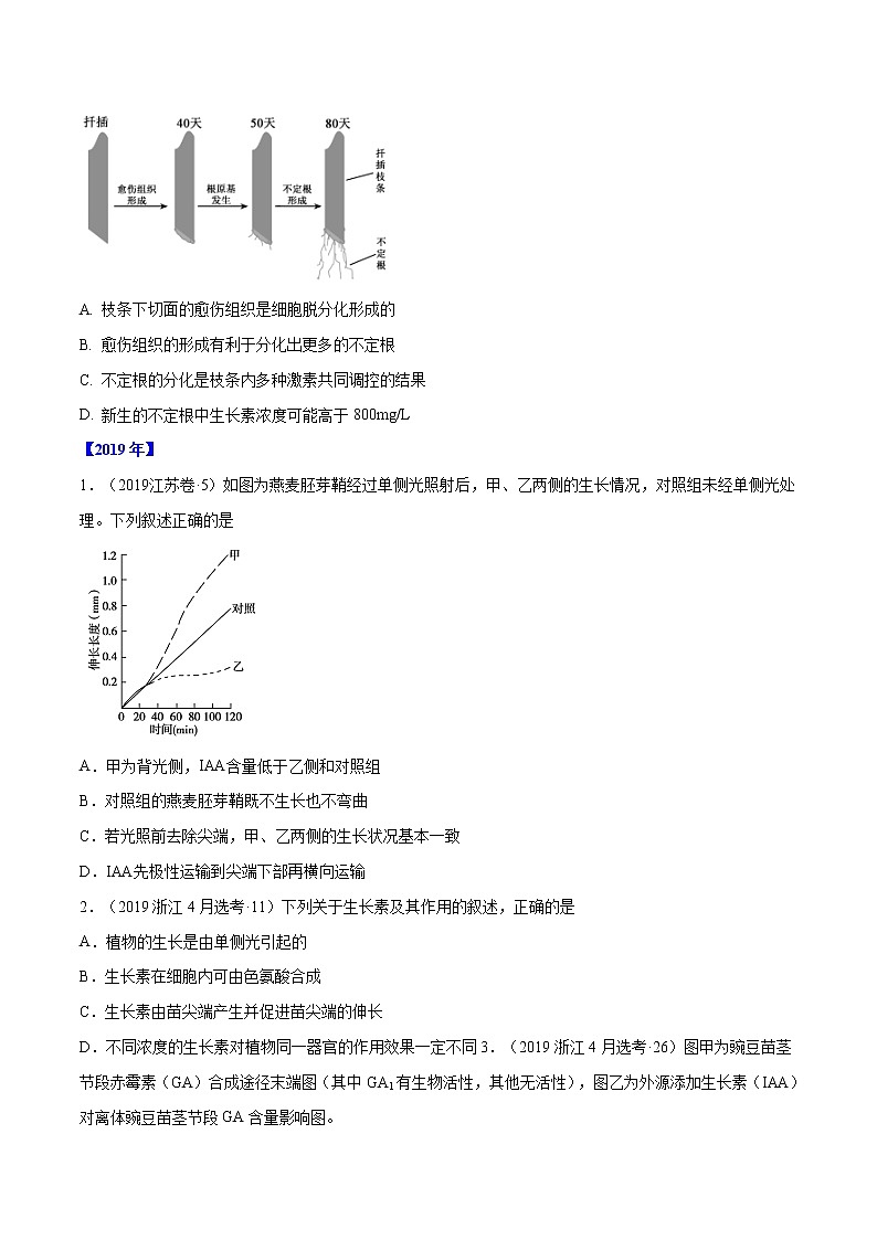 高中生物高考专题09 植物的激素调节-十年（2011-2020）高考真题生物分项详解（原卷版）第2页