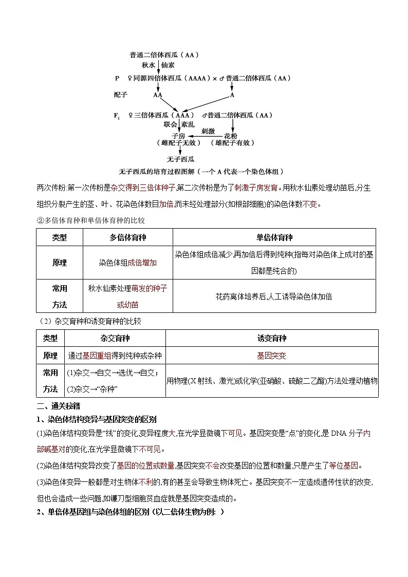 高中生物高考专题10 变异、育种和进化-备战2021年高考生物专题提分攻略（原卷版）第3页