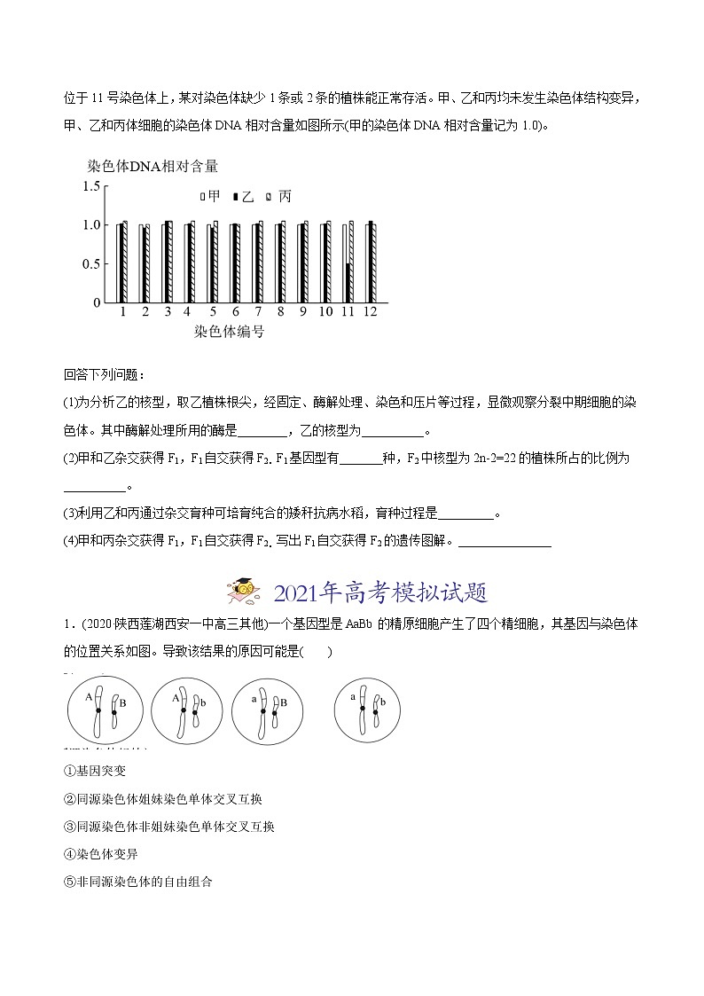 高中生物高考专题10 变异、育种与进化-2021年高考生物真题与模拟题分类训练（学生版）第3页