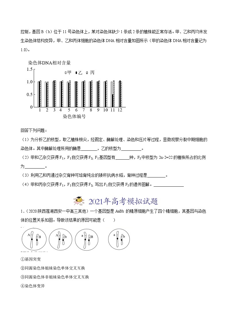 高中生物高考专题10 变异、育种与进化-2021年高考真题和模拟题生物分项汇编（原卷版）03