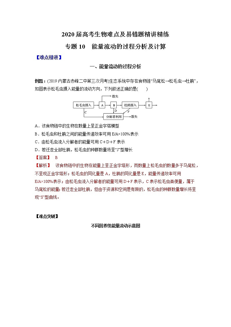 高中生物高考专题10 能量流动的过程分析及计算（解析版）01