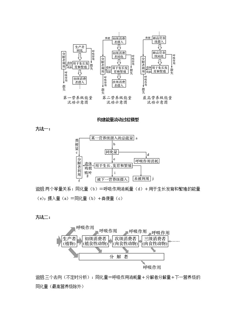 高中生物高考专题10 能量流动的过程分析及计算（解析版）02