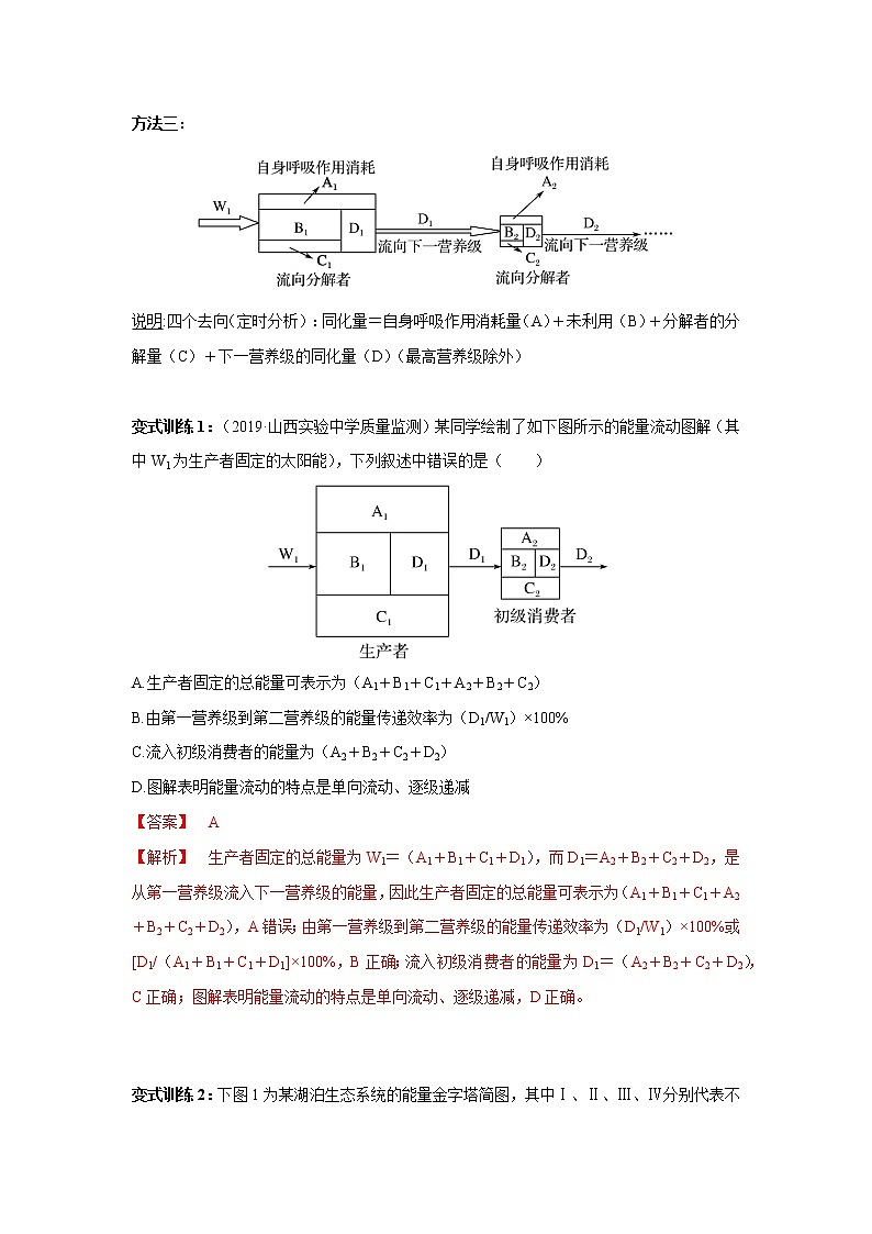 高中生物高考专题10 能量流动的过程分析及计算（解析版）03