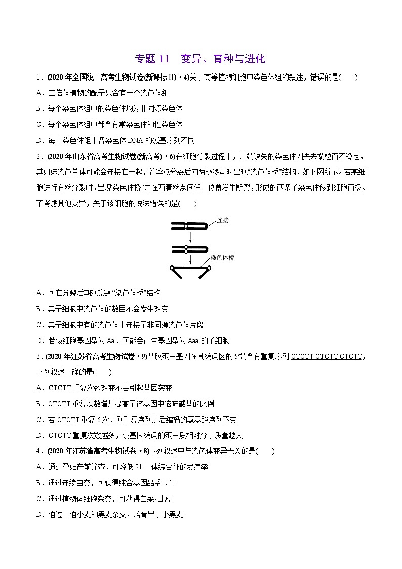 高中生物高考专题11 变异、育种与进化-2020年高考真题和模拟题生物分项汇编（学生版）第1页