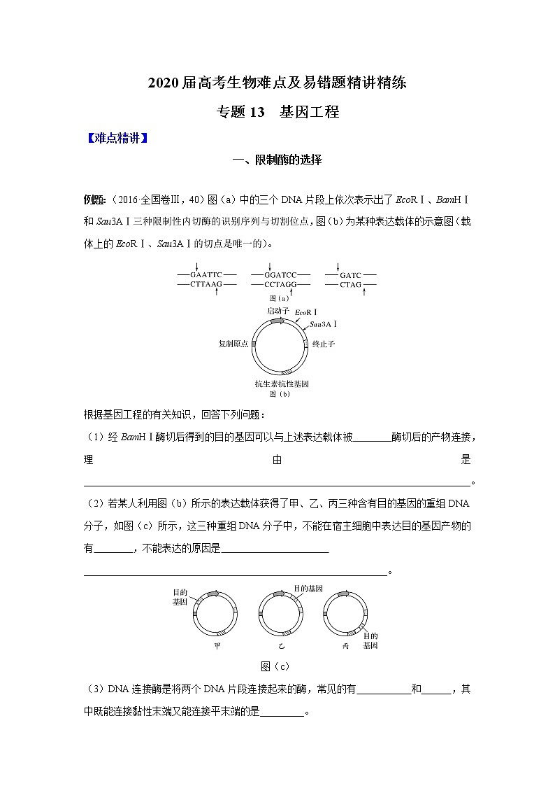高中生物高考专题13 基因工程（原卷版）第1页