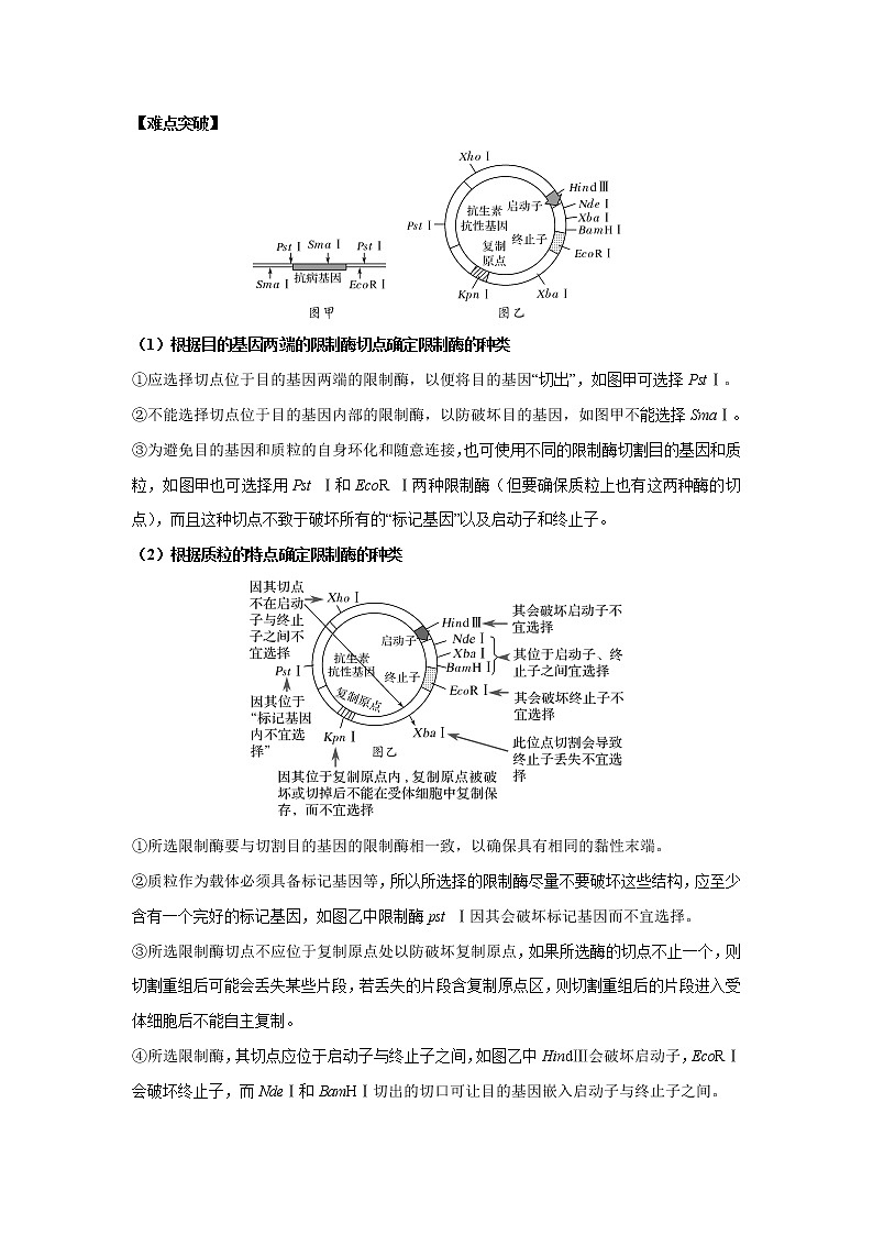 高中生物高考专题13 基因工程（原卷版）第2页