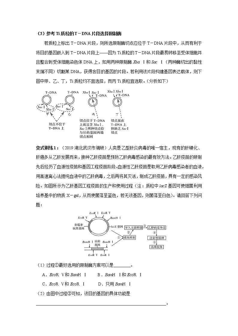 高中生物高考专题13 基因工程（原卷版）第3页
