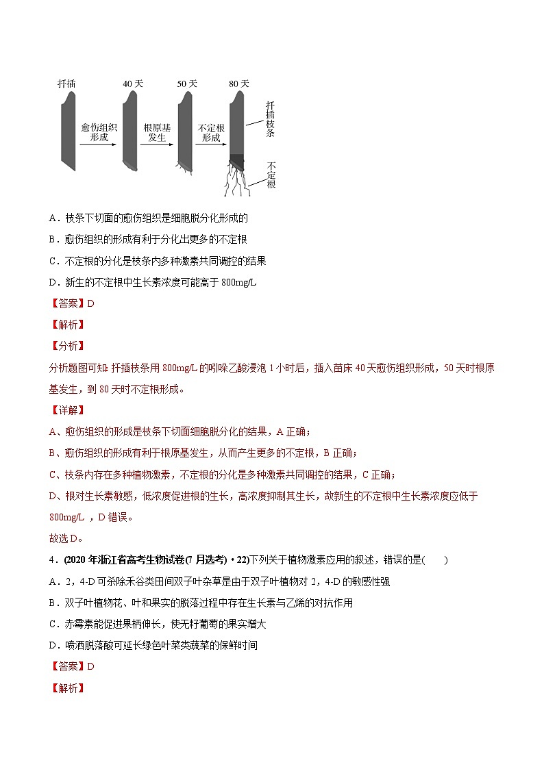 高中生物高考专题12 植物的激素调节-2020年高考真题和模拟题生物分项汇编（教师版含解析）第3页