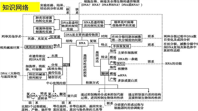 高中生物高考专题11 遗传的分子基础-2020年高考备考生物二轮复习课件第3页