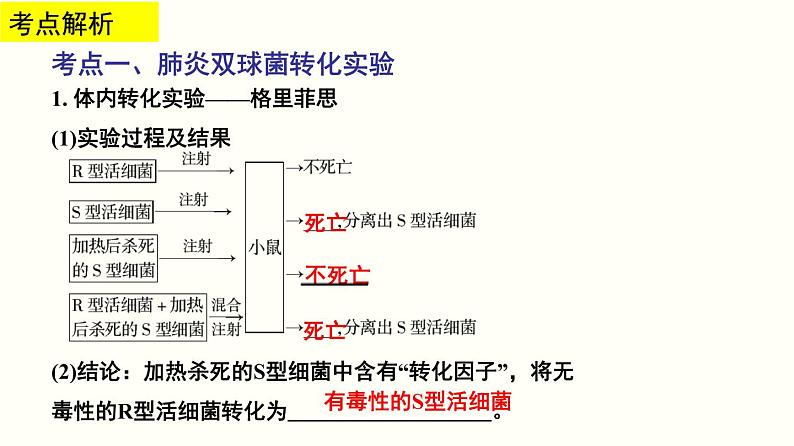 高中生物高考专题11 遗传的分子基础-2020年高考备考生物二轮复习课件第4页