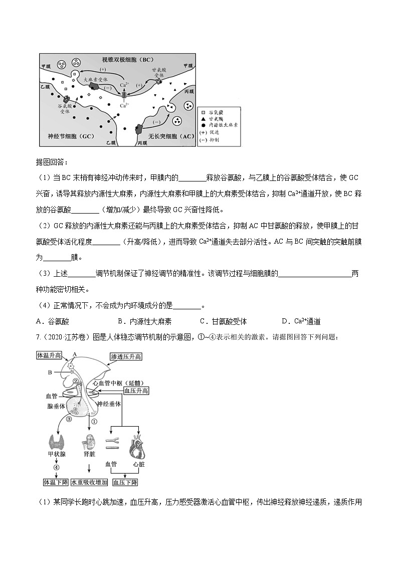 高中生物高考专题15 生命活动的调节与免疫综合-十年（2011-2020）高考真题生物分项详解（原卷版）第3页