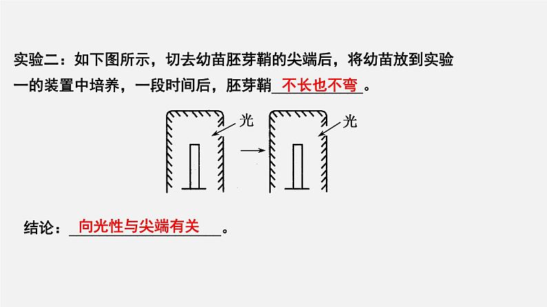 高中生物高考专题16 植物生物活动调节-2020年高考备考生物二轮复习课件05