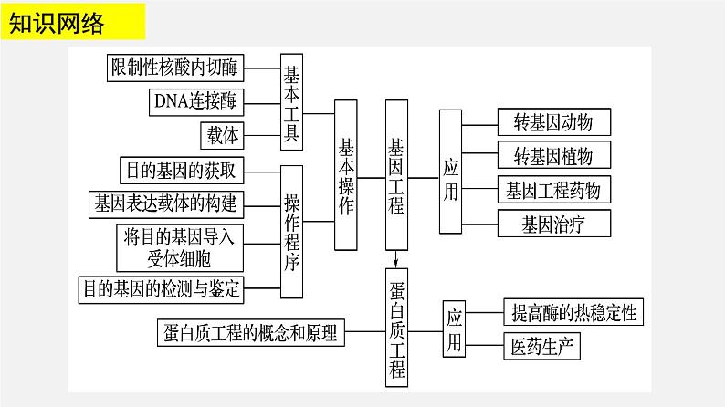 高中生物高考专题22 基因工程-2020年高考备考生物二轮复习课课件PPT第3页