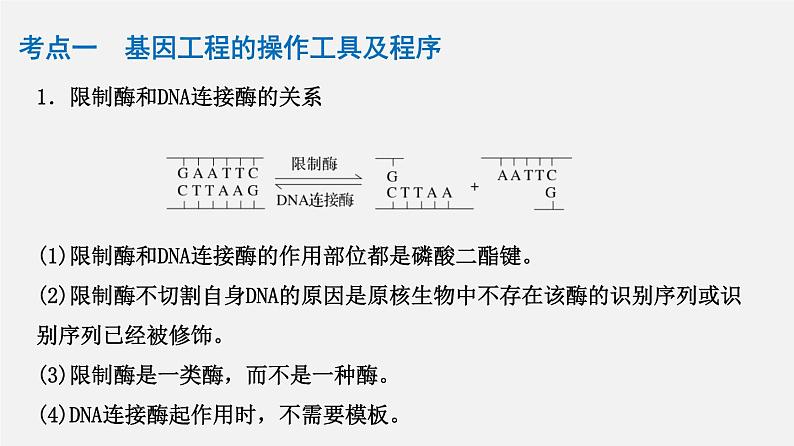 高中生物高考专题22 基因工程-2020年高考备考生物二轮复习课课件PPT第4页