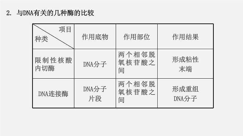 高中生物高考专题22 基因工程-2020年高考备考生物二轮复习课课件PPT第5页