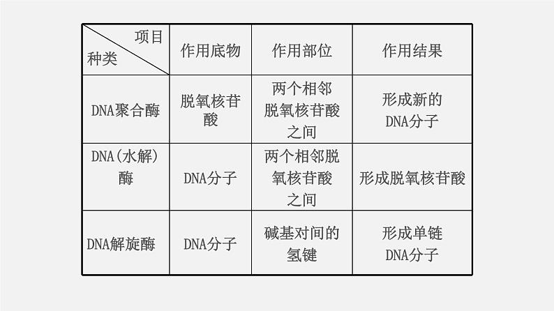 高中生物高考专题22 基因工程-2020年高考备考生物二轮复习课课件PPT第6页