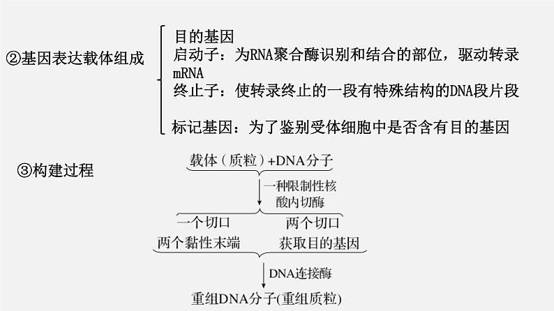 高中生物高考专题22 基因工程-2020年高考备考生物二轮复习课课件PPT第8页