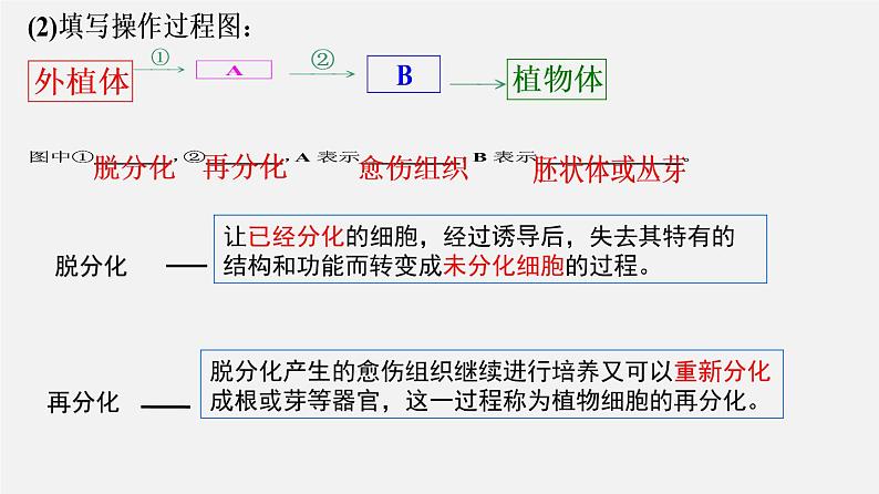 高中生物高考专题23 细胞工程-2020年高考备考生物二轮复习课件第5页