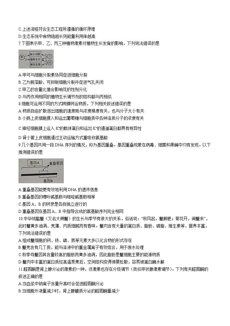 2023葫芦岛普通高中高三下学期一模试题生物含答案02