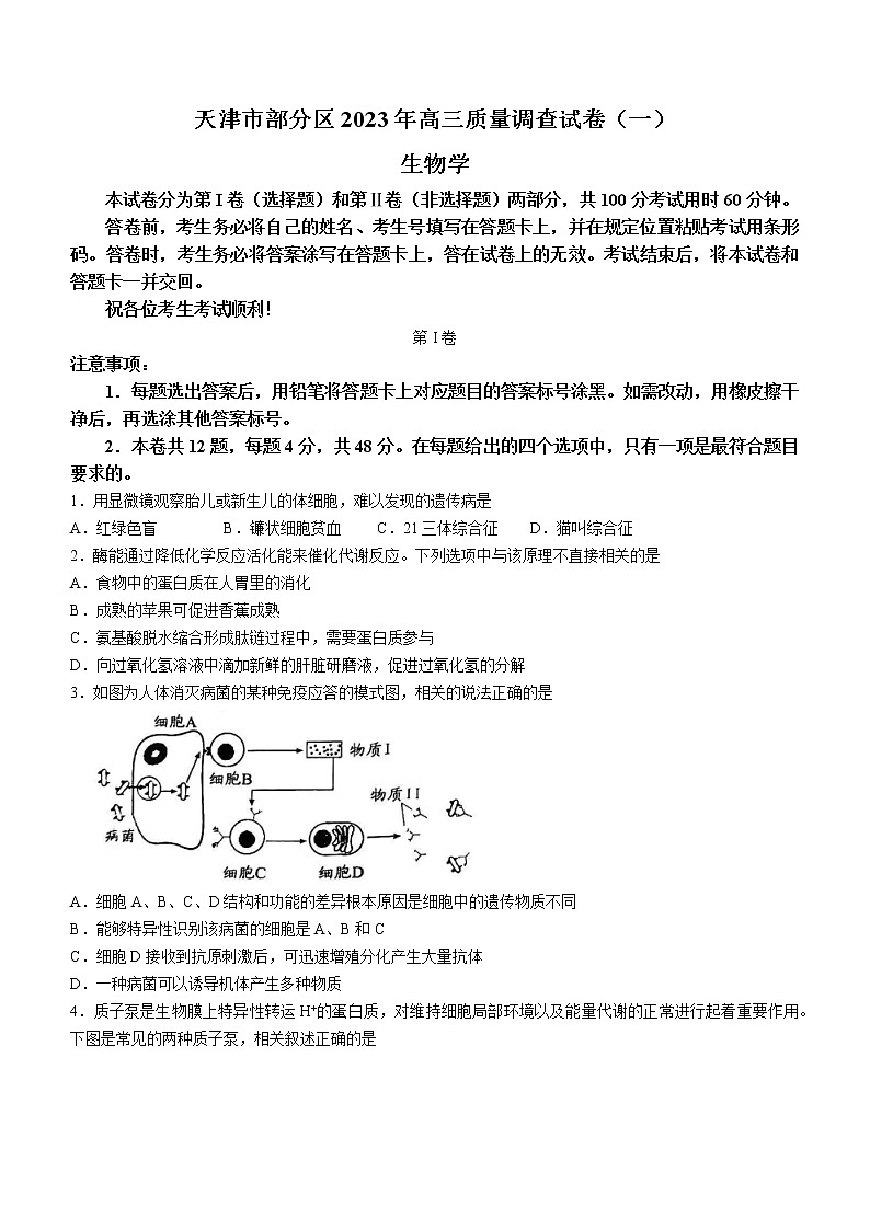 2023天津市部分区高三下学期质量调查（一）（一模）生物试题含答案01
