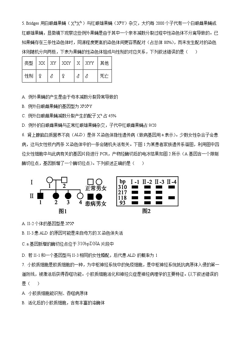 2023郴州高三下学期三模生物试题含解析02