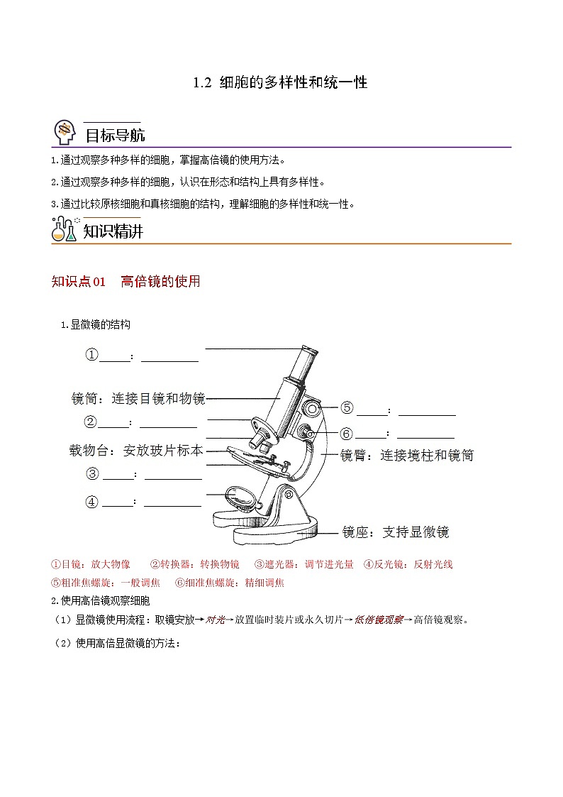 1.2 细胞的多样性和统一性（教师版）-高一生物同步精品讲义（人教2019必修1）第1页