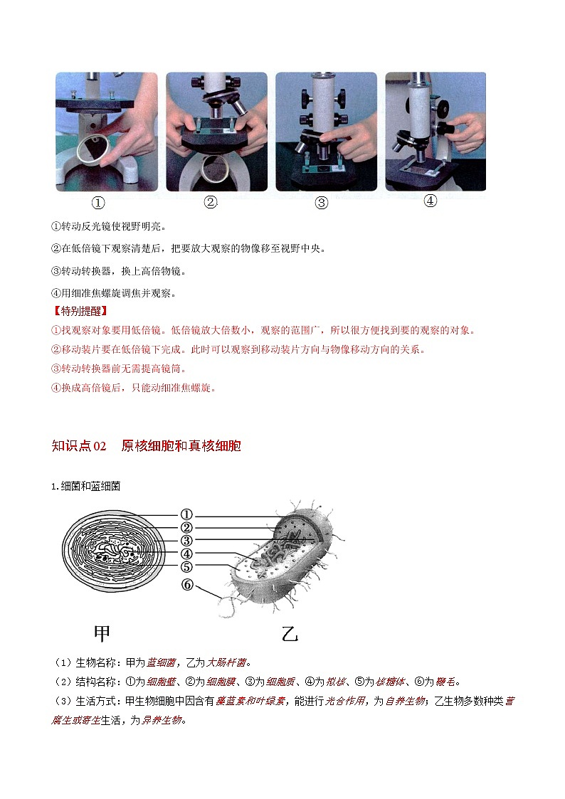 1.2 细胞的多样性和统一性（教师版）-高一生物同步精品讲义（人教2019必修1）第2页