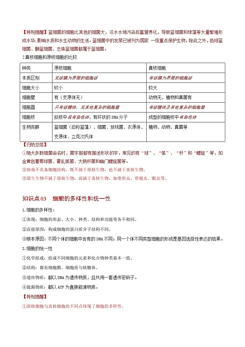 1.2 细胞的多样性和统一性（教师版）-高一生物同步精品讲义（人教2019必修1）第3页