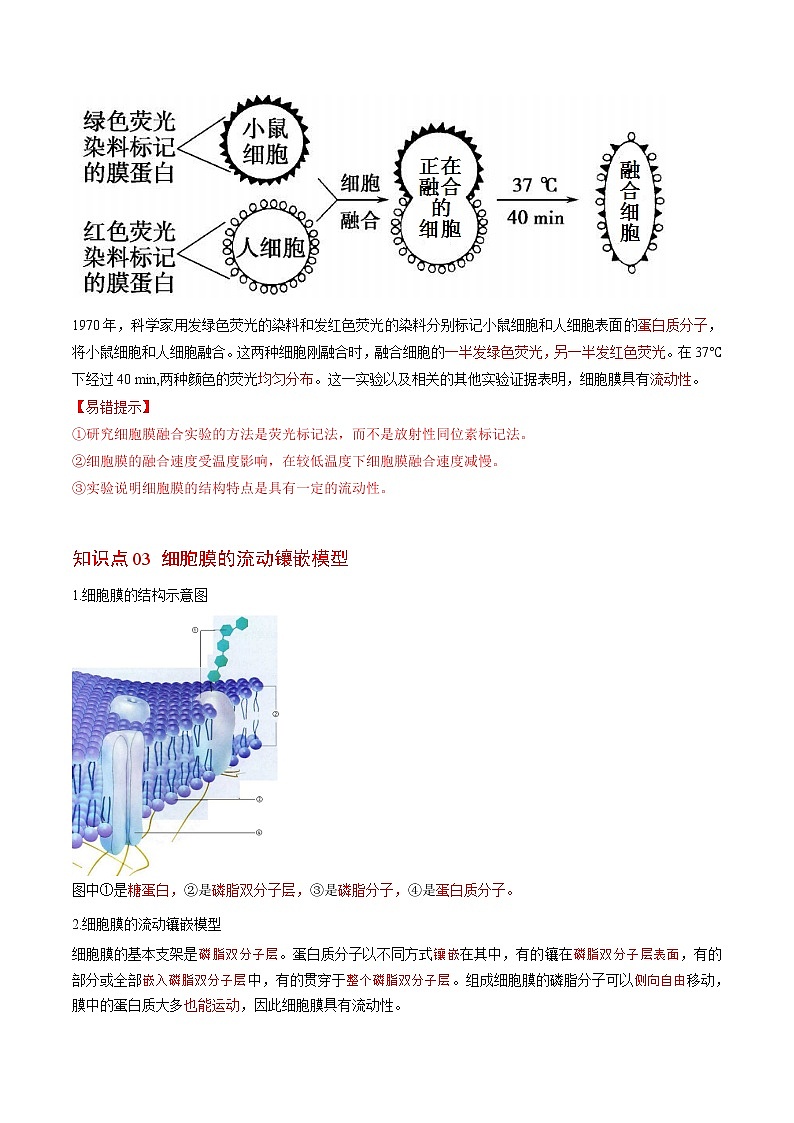 3.1 细胞膜的结构与功能（第2课时）（学生版）-高一生物同步精品讲义（人教2019必修1）02