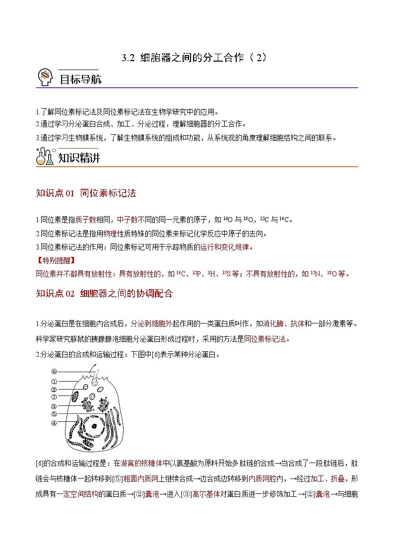 3.2 细胞器之间的分工合作（第2课时）（学生版）-高一生物同步精品讲义（人教2019必修1）第1页