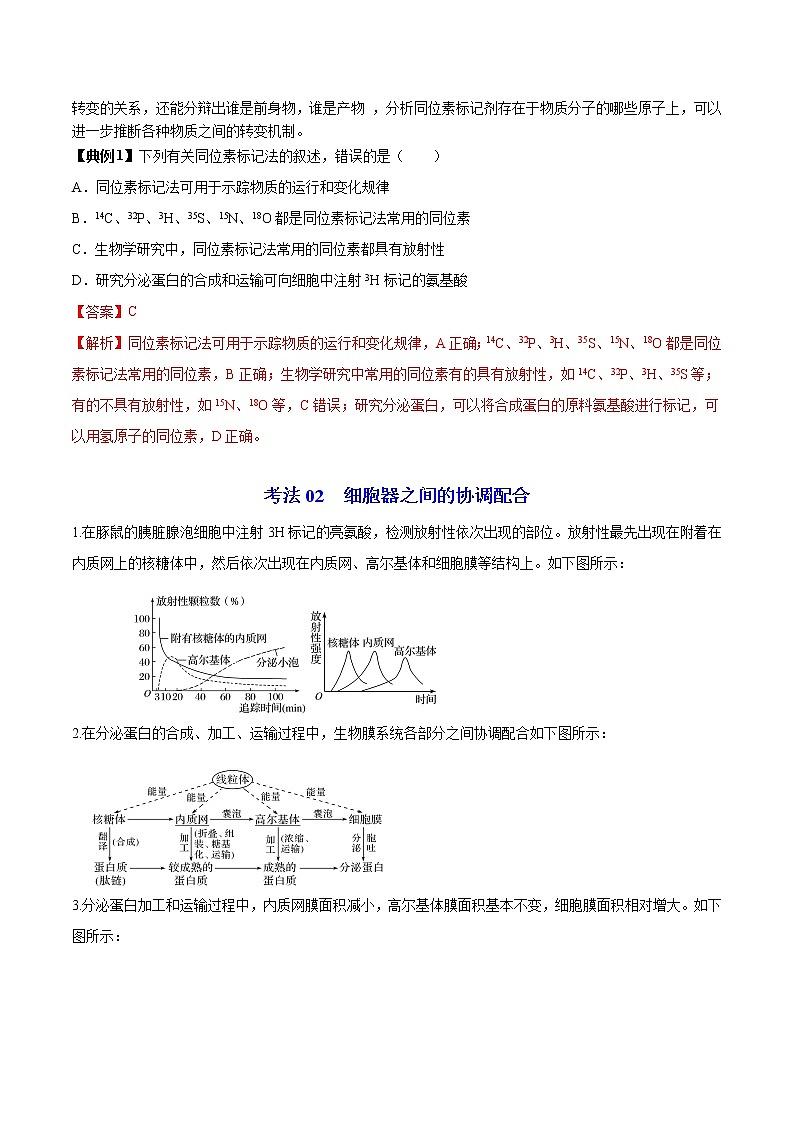 3.2 细胞器之间的分工合作（第2课时）（学生版）-高一生物同步精品讲义（人教2019必修1）第3页