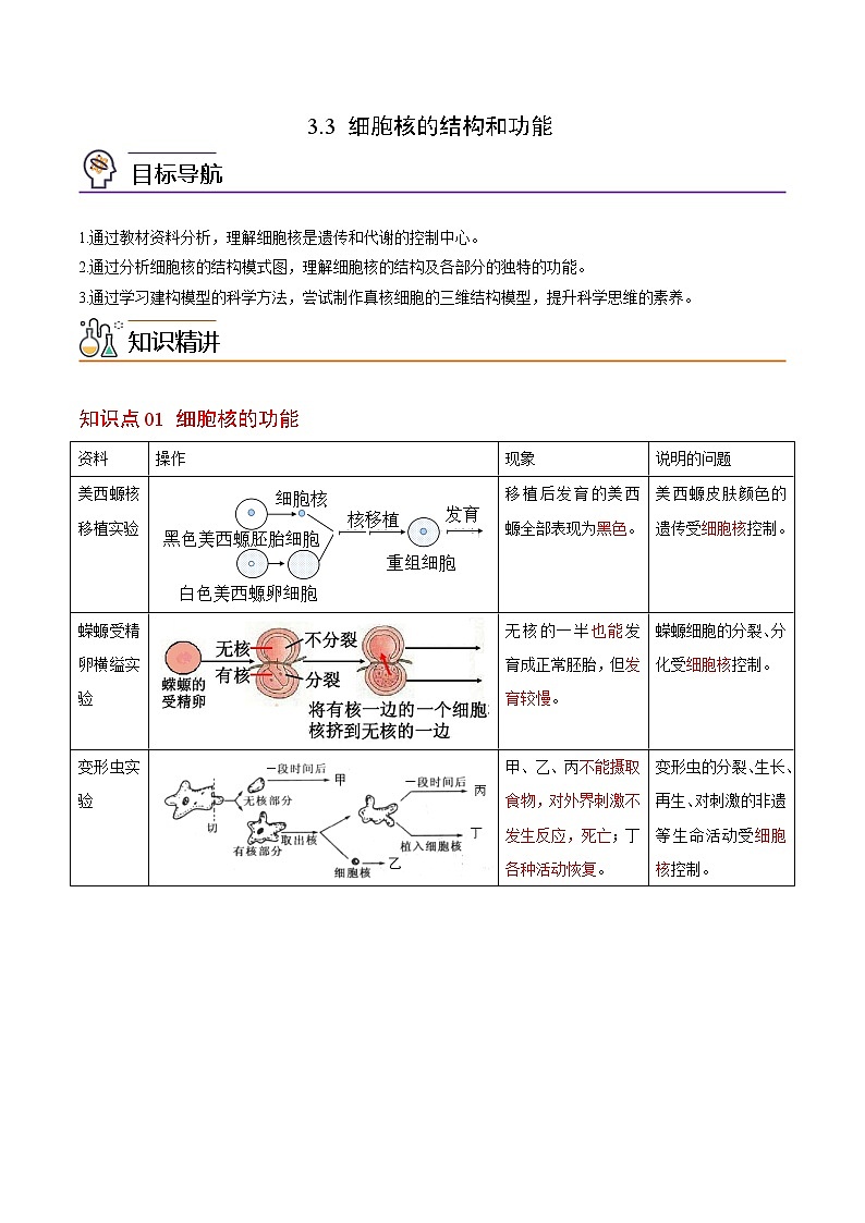 3.3 细胞核的结构和功能（教师版）-高一生物同步精品讲义（人教2019必修1）第1页