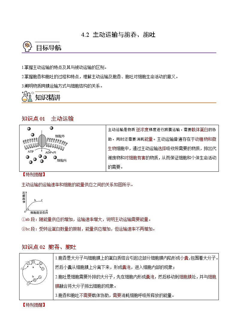 4.2 主动运输与胞吞、胞吐（学生版）-高一生物同步精品讲义（人教2019必修1）第1页