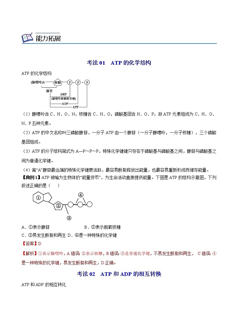 5.2 细胞的能量“货币”ATP（学生版）-高一生物同步精品讲义（人教2019必修1）02