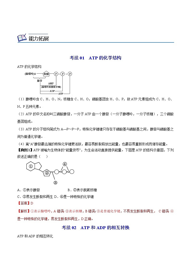 5.2 细胞的能量“货币”ATP（教师版）-高一生物同步精品讲义（人教2019必修1）第2页