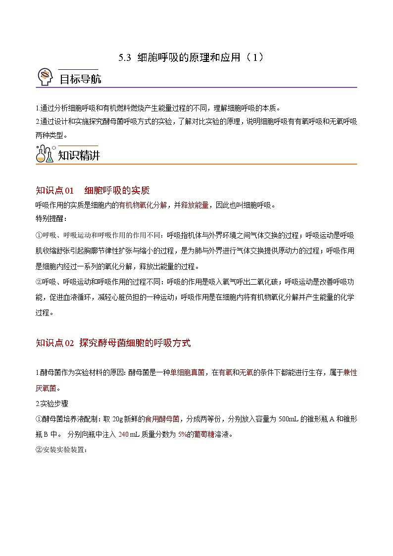 5.3 细胞呼吸的原理和应用（第1课时）（学生版）-高一生物同步精品讲义（人教2019必修1）第1页