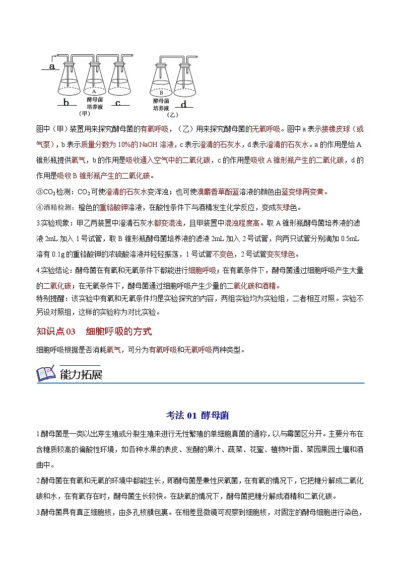5.3 细胞呼吸的原理和应用（第1课时）（学生版）-高一生物同步精品讲义（人教2019必修1）第2页