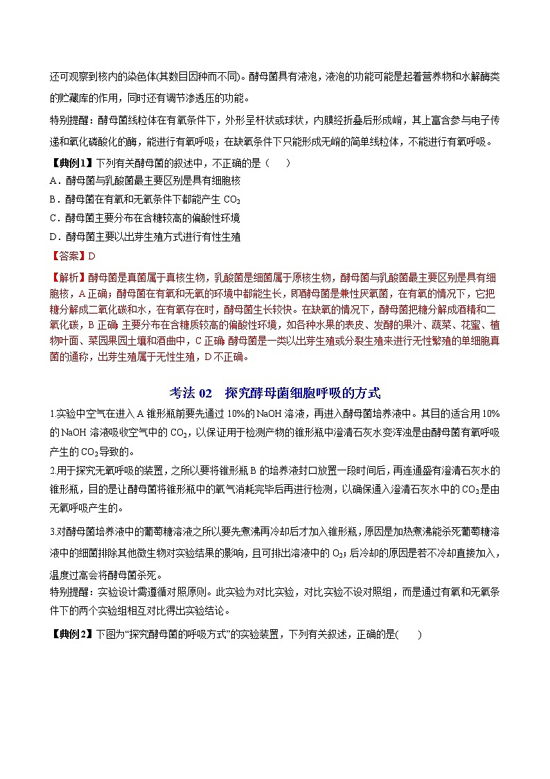 5.3 细胞呼吸的原理和应用（第1课时）（学生版）-高一生物同步精品讲义（人教2019必修1）第3页