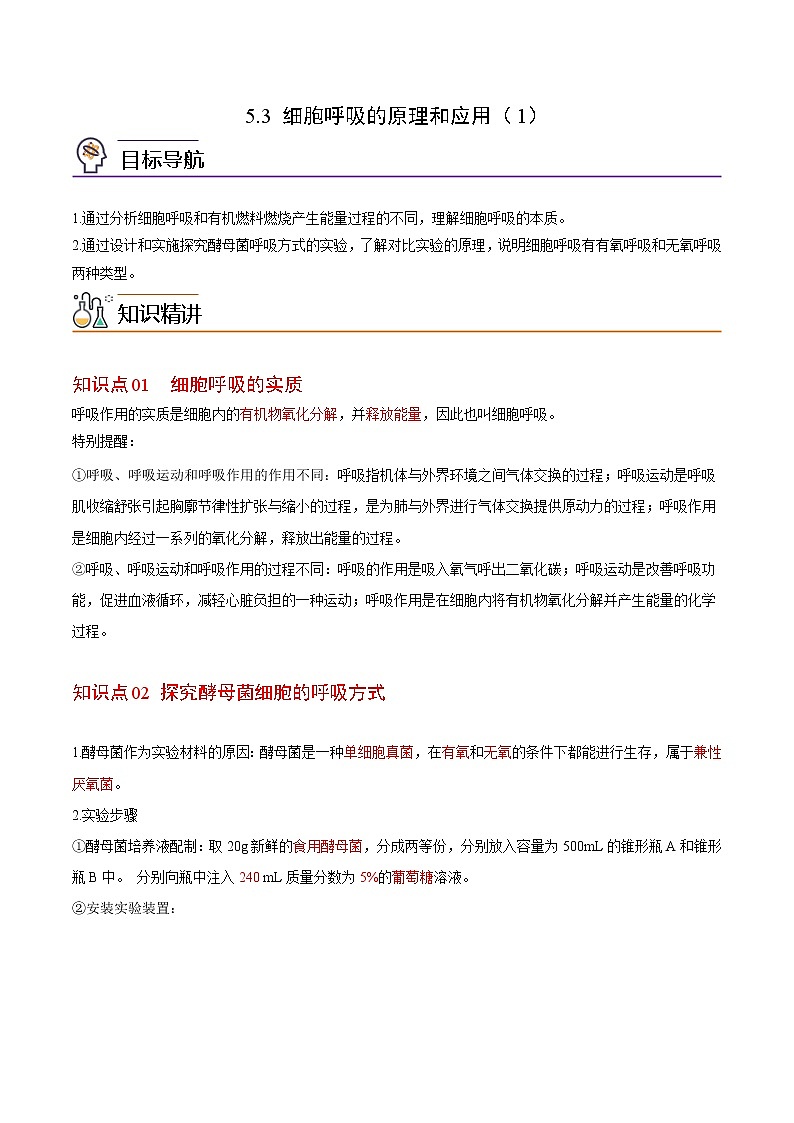 5.3 细胞呼吸的原理和应用（第1课时）（教师版）-高一生物同步精品讲义（人教2019必修1）第1页