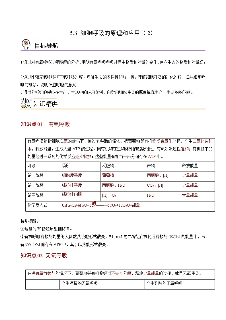 5.3 细胞呼吸的原理和应用（第2课时）（教师版）-高一生物同步精品讲义（人教2019必修1）第1页