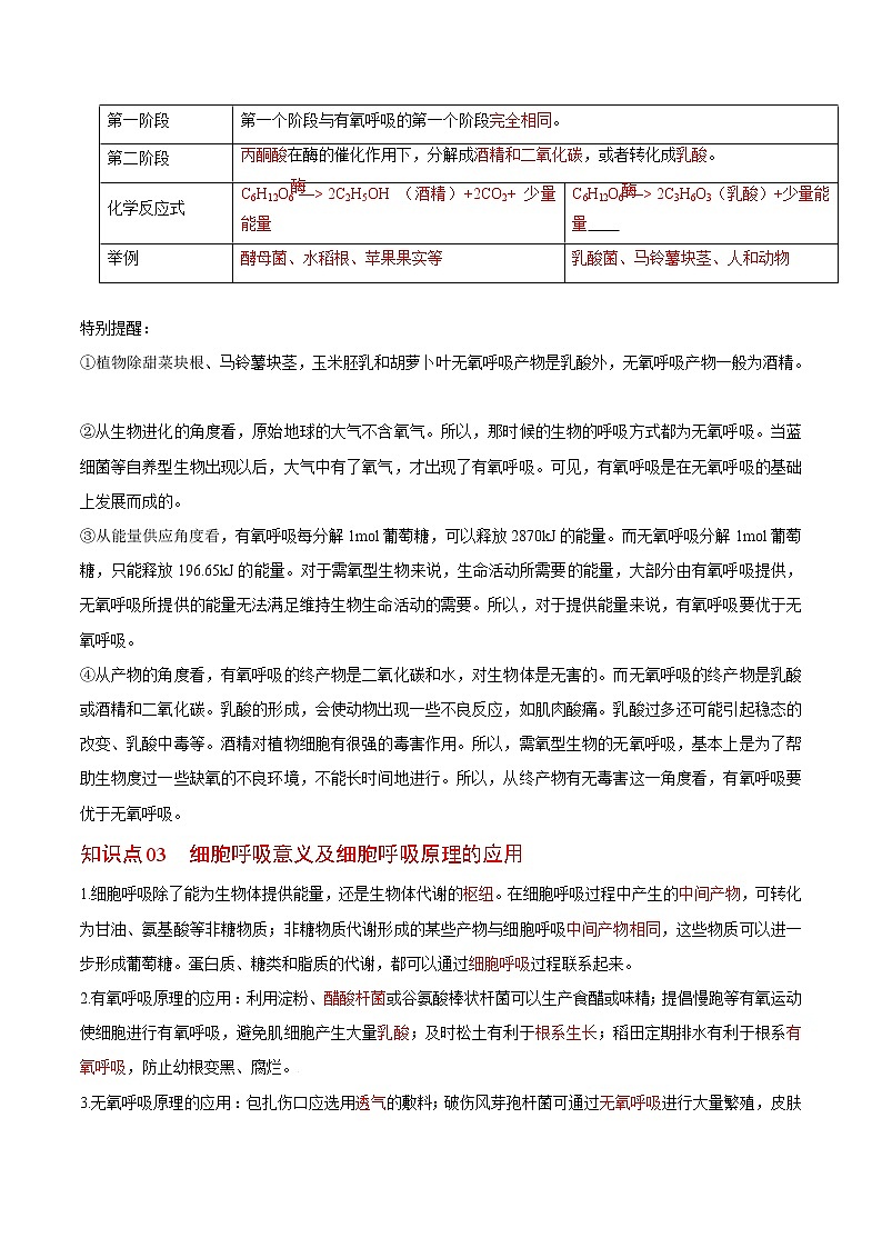 5.3 细胞呼吸的原理和应用（第2课时）（教师版）-高一生物同步精品讲义（人教2019必修1）第2页