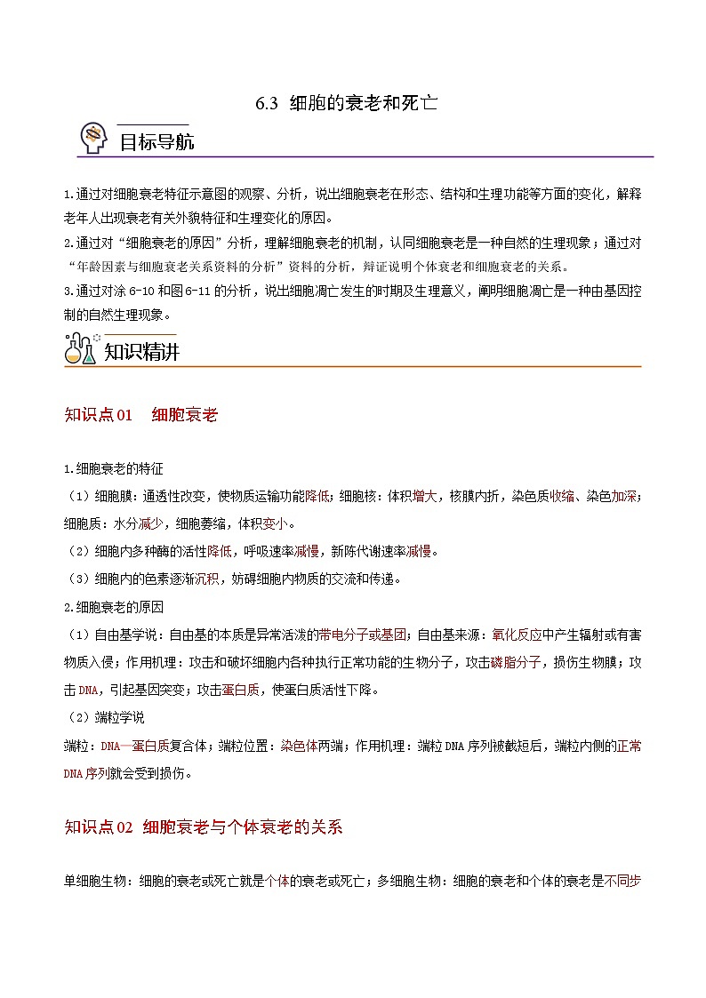 6.3 细胞的衰老和死亡（学生版）-高一生物同步精品讲义（人教2019必修1）01