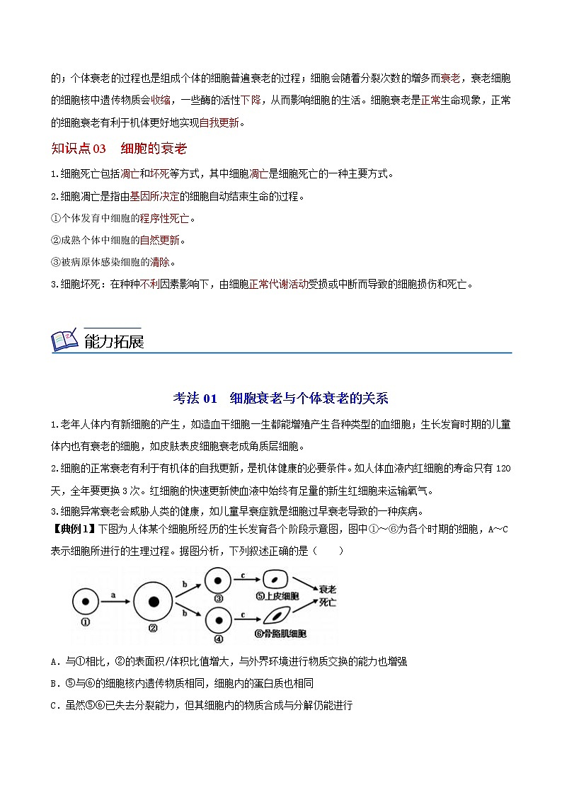 6.3 细胞的衰老和死亡（学生版）-高一生物同步精品讲义（人教2019必修1）02
