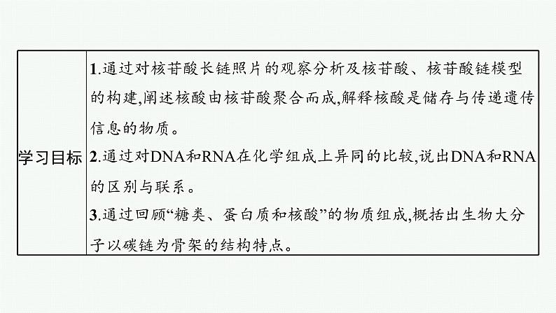 第2章　组成细胞的分子 第5节　核酸是遗传信息的携带者课件PPT第3页