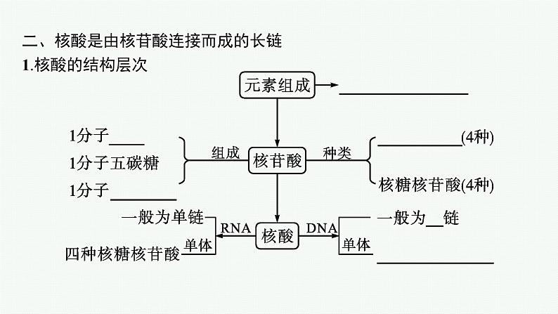 第2章　组成细胞的分子 第5节　核酸是遗传信息的携带者课件PPT第6页