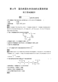高中生物人教版 (2019)必修1《分子与细胞》第4节 蛋白质是生命活动的主要承担者习题